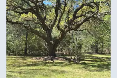 1183 White Road, Awendaw, SC 29429 - Photo 23