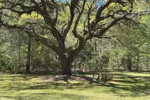 1183 White Rd, Awendaw, SC 29429 - Photo 23