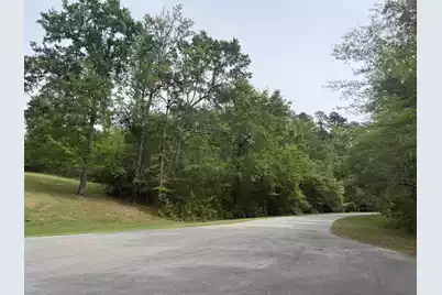 0 Longest Drive, Saint Matthews, SC 29135 - Photo 1