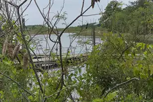 5001 Conestoga Dr, Hanahan, SC 29410 - Photo 55