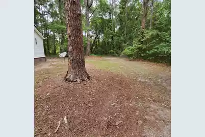 133 Knott Drive, Eutawville, SC 29048 - Photo 47