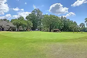410 Carolina Cherry Ct, Charleston, SC 29414 - Photo 47
