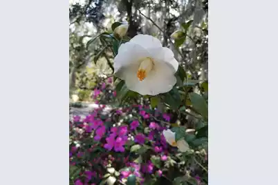 173 Stono Drive, Charleston, SC 29412 - Photo 79