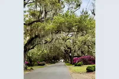 173 Stono Drive, Charleston, SC 29412 - Photo 67