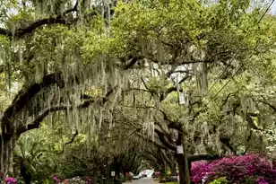 173 Stono Dr, Charleston, SC 29412 - Photo 65