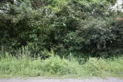 45 Partridge Road, Kingstree, SC 29556 - Photo 5