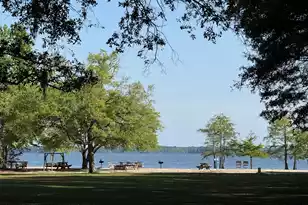 115 Marion Dr, Eutawville, SC 29048 - Photo 37
