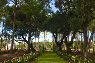 1016 Tea Time Dr, Summerville, SC 29485 - Photo 37