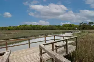 1330 Tidal Creek Cove, Charleston, SC 29412 - Photo 63