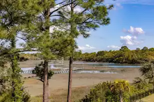 1330 Tidal Creek Cove, Charleston, SC 29412 - Photo 7