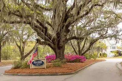 1330 Tidal Creek Cove, Charleston, SC 29412 - Photo 61