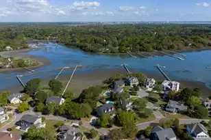 1330 Tidal Creek Cove, Charleston, SC 29412 - Photo 59