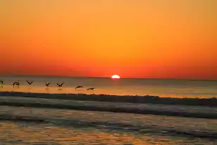 597 Oyster Rake Dr, Kiawah Island, SC 29455 - Photo 55