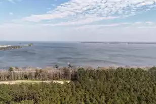 0 Hwy 6, Pinopolis, SC 29469 - Photo 7