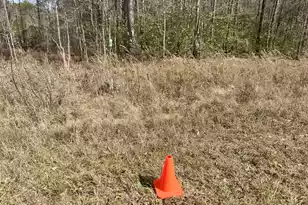 0 Hwy 6, Pinopolis, SC 29469 - Photo 13