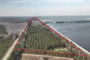 0 Hwy 6, Pinopolis, SC 29469 - Photo 11