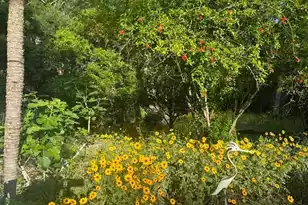 1059 Shem Dr S, Mount Pleasant, SC 29464 - Photo 55