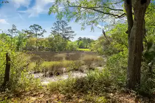 504 Parkdale Dr, Charleston, SC 29414 - Photo 5