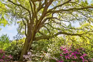 2169 Westrivers Rd, Charleston, SC 29412 - Photo 51