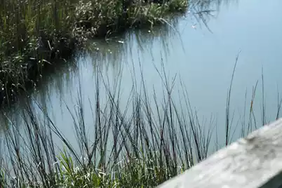 1024 Ashley Avenue W, Folly Beach, SC 29439 - Photo 67