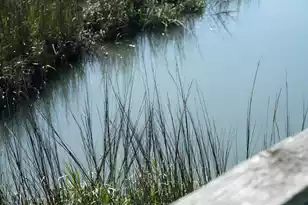 1024 Ashley Ave W, Folly Beach, SC 29439 - Photo 67