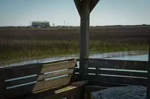 1024 Ashley Ave W, Folly Beach, SC 29439 - Photo 73