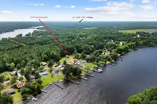 1174 Gin Pond Dr, Summerton, SC 29148 - Photo 49