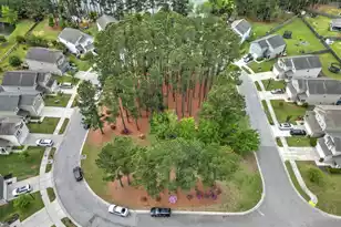 166 Brookhaven Rd, Summerville, SC 29486 - Photo 45