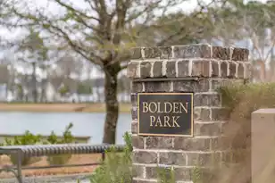 3735 Goodwater St, Mount Pleasant, SC 29466 - Photo 127