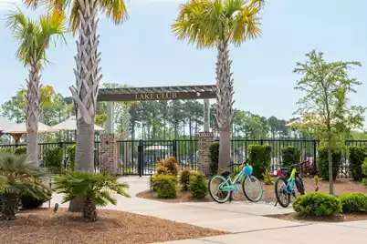 3735 Goodwater Street, Mount Pleasant, SC 29466 - Photo 123