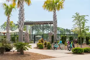 3735 Goodwater St, Mount Pleasant, SC 29466 - Photo 123