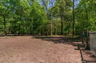 244 Larissa Dr, Charleston, SC 29414 - Photo 51