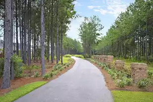 127 Lindera Preserve Blvd, Summerville, SC 29486 - Photo 41