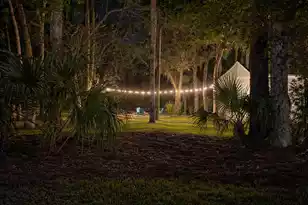 414 Porpoise Dr, Ladys Island, SC 29920 - Photo 55