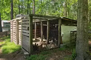 793 Finlay Ln, Cottageville, SC 29435 - Photo 7