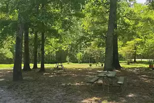 793 Finlay Ln, Cottageville, SC 29435 - Photo 31