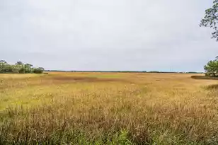 408 St Charles Ct, Charleston, SC 29407 - Photo 17