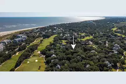 10 Dune Ridge Lane, Isle Of Palms, SC 29451 - Photo 53