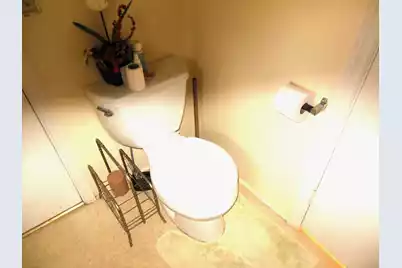 336 Farmstead Lane, Cameron, SC 29030 - Photo 21