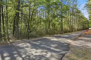 145 Notta Way, Moncks Corner, SC 29461 - Photo 53