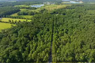 145 Notta Way, Moncks Corner, SC 29461 - Photo 49