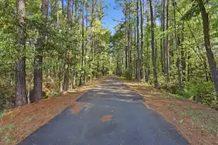 145 Notta Way, Moncks Corner, SC 29461 - Photo 55