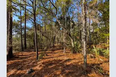 0 Highway 17 Highway N #Tract 2, McClellanville, SC 29458 - Photo 5