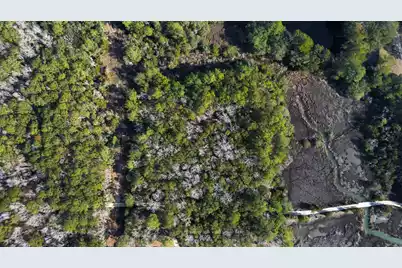 0 Highway 17 Highway N #Tract 2, McClellanville, SC 29458 - Photo 11