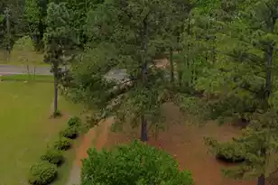 1515 Matilda Cir, Pineville, SC 29468 - Photo 19