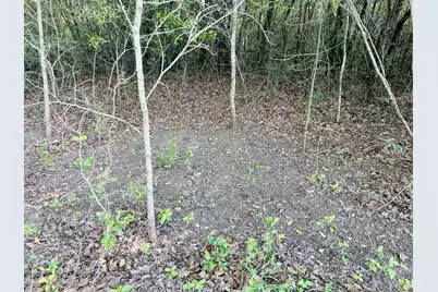 3058 Surrey Race Road, Springfield, SC 29146 - Photo 23