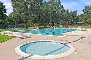 115 Challis Ct, Goose Creek, SC 29445 - Photo 59