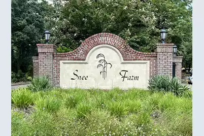 1705 Ventura Place, Mount Pleasant, SC 29464 - Photo 43