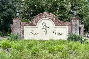 1705 Ventura Pl, Mount Pleasant, SC 29464 - Photo 43