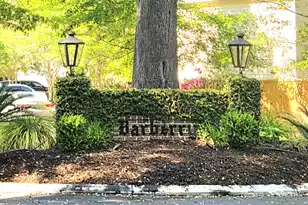 3005 Split Hickory Ct, Johns Island, SC 29455 - Photo 33